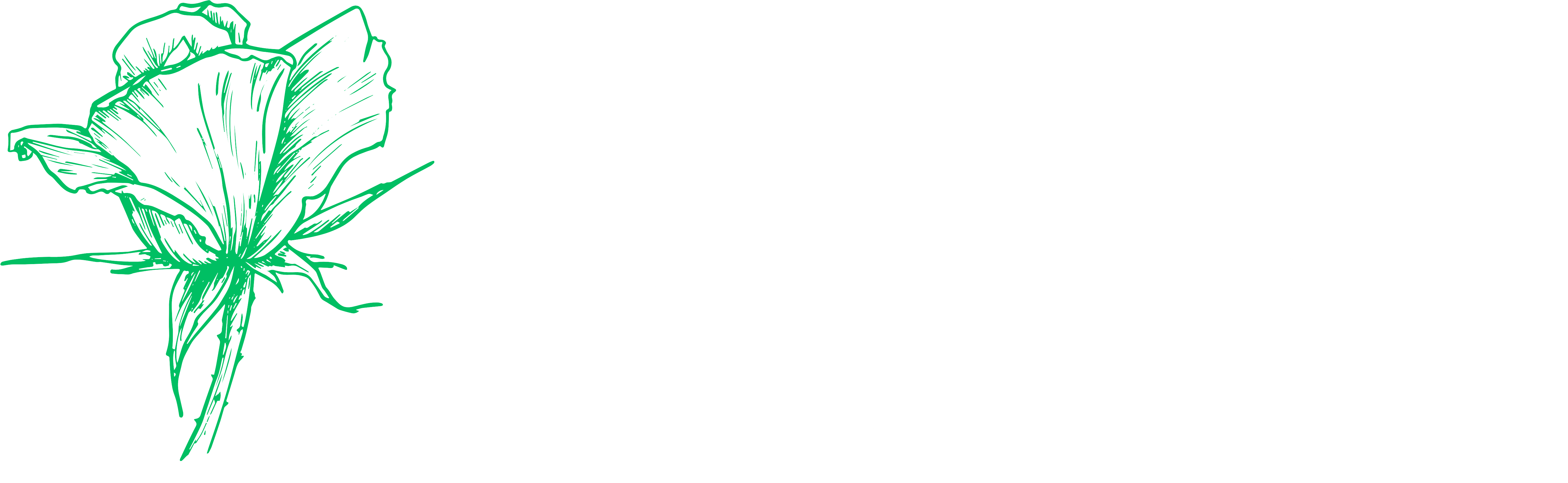 Kuliko Asset Management